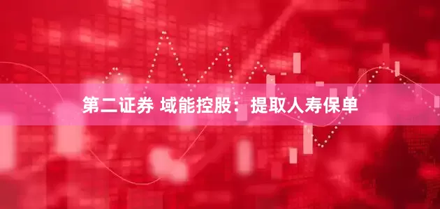 第二证券 域能控股：提取人寿保单