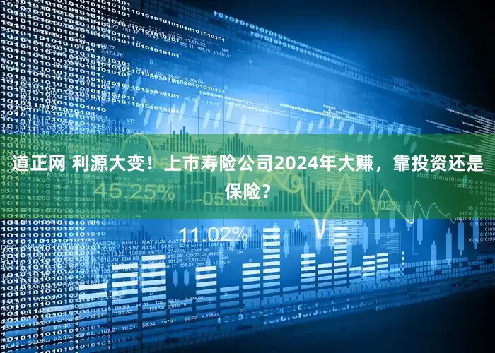 道正网 利源大变！上市寿险公司2024年大赚，靠投资还是保险？
