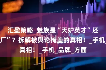 汇盈策略  魅族是“天妒英才”还是“珠海小厂”？拆解被舆论掩盖的真相！_手机_品牌_方面