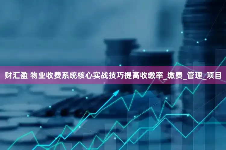 财汇盈 物业收费系统核心实战技巧提高收缴率_缴费_管理_项目