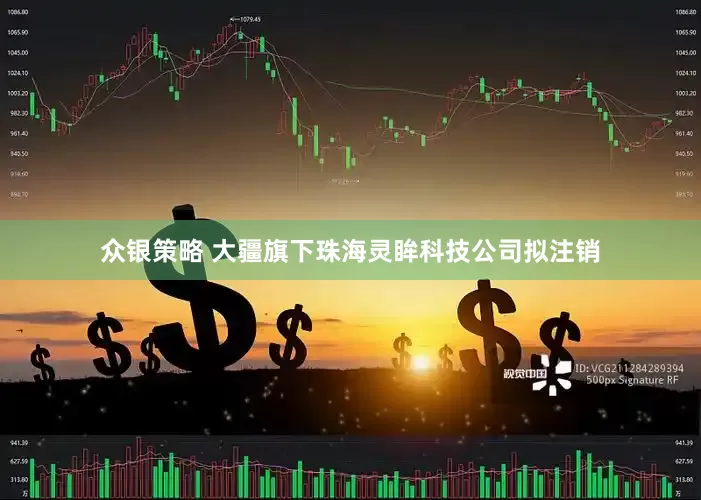 众银策略 大疆旗下珠海灵眸科技公司拟注销